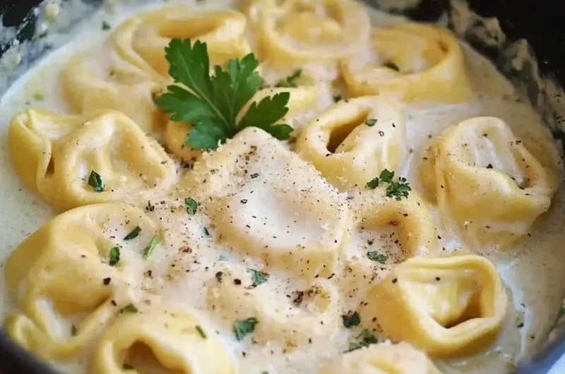 Creamy Garlic Tortellini Alfredo